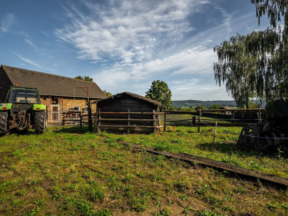Reitanlage Aachen Aurora