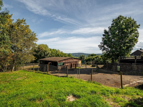 Reitanlage Aachen Aurora