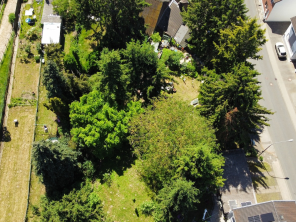 Drohnenaufnahme von Garten und Strasse