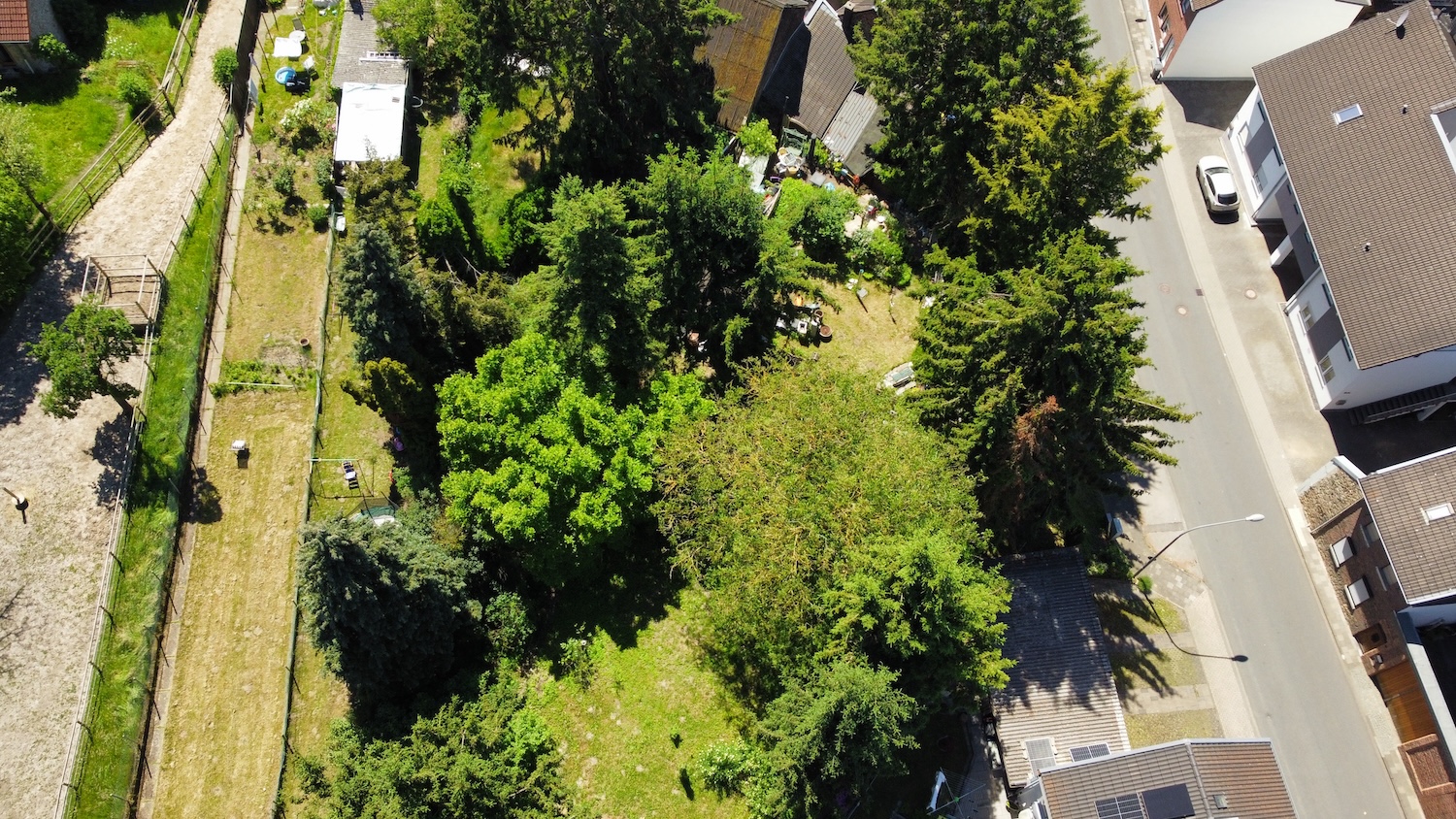 Drohnenaufnahme von Garten und Strasse