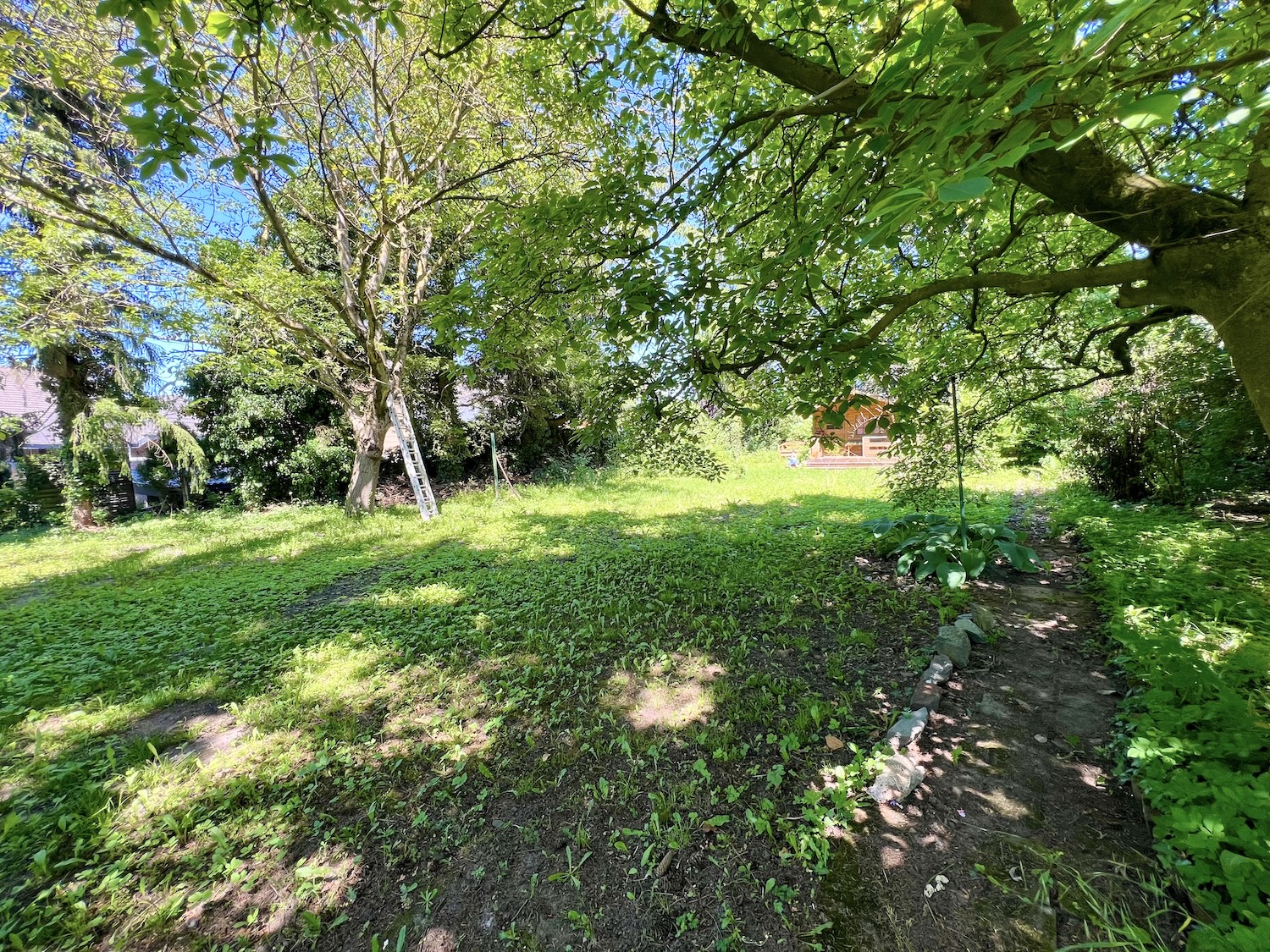 Gartenansicht mit Blick auf Leiter