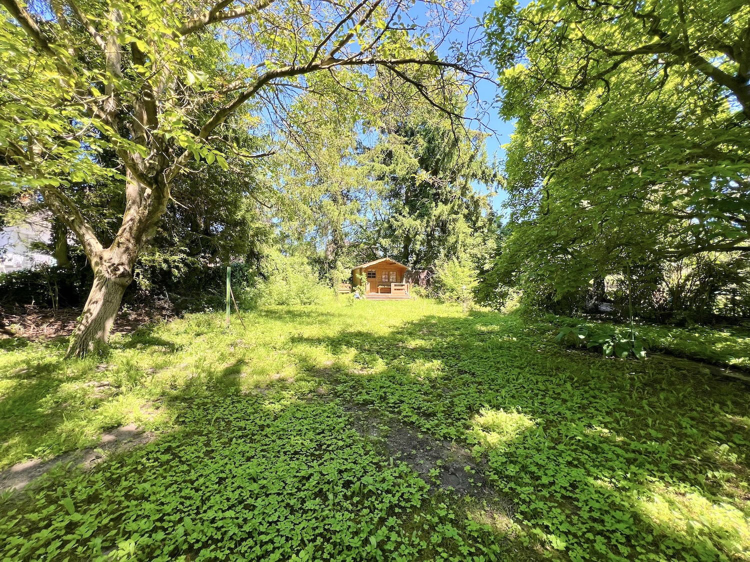 Gartenansicht zentral mit Blick auf Gartenhaus
