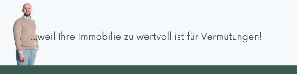 Textausschnitt mit Michael De Bie als Foto