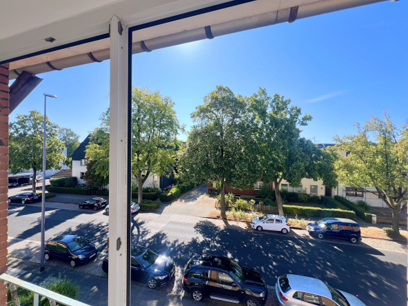 Aussicht vom Zimmer vorne an der Strasse nach Draussen auf die Bäume